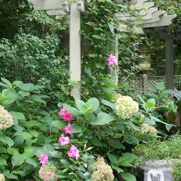 Pergola with Clematis and Hydrangeas