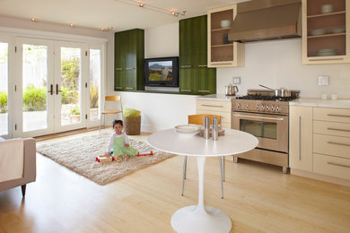 Inspiration for a modern living room remodel in San Francisco