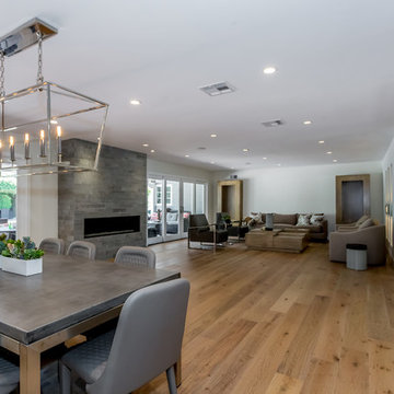 Contemporary home remodeling