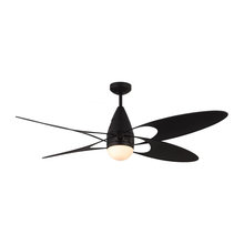 ceiling Fans