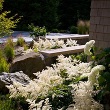 yard ideas