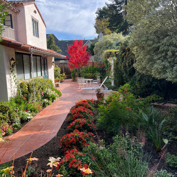 Palo Alto | Plant, Gardening Transformation