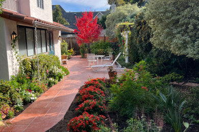 サンフランシスコにあるトランジショナルスタイルのおしゃれな庭の写真
