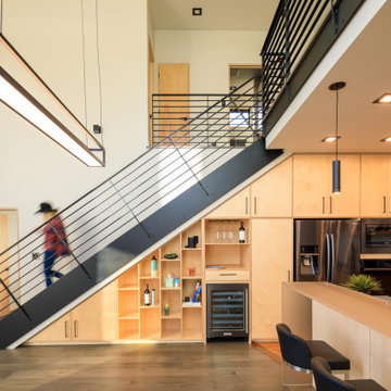 Modern Aspen ave. House