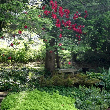 Garden Services & Lawn Maintenance
