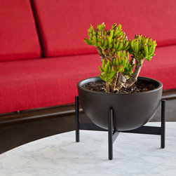 Case Study Tabletop Bowl Planter with Metal Stand - Indoor Pots And Planters