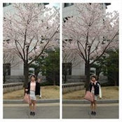 Foto de 향미 이

