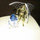 Susan Ant