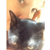 Sue Samuel's photo