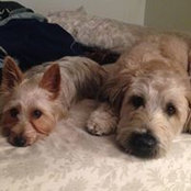 Jayne Barber's photo