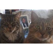 Coleen Mulhern's photo
