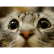 Ainhur Wong's photo