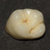 Dental DesignParma's photo