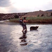 Jason Thomas's photo
