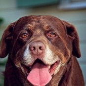 Krista Franks's photo