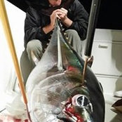 Dennis Barteck's photo