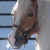 Louise Caron Gagnon's photo