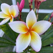 Angela Thorn's photo