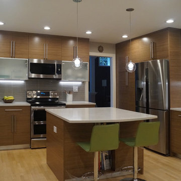 Kitchen Renovation