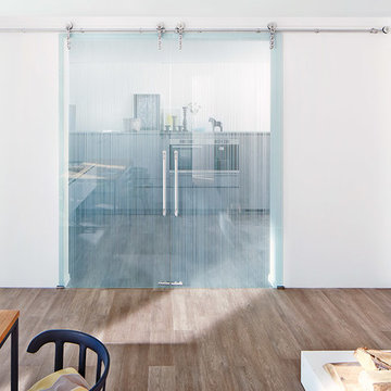 Glass Barn Doors