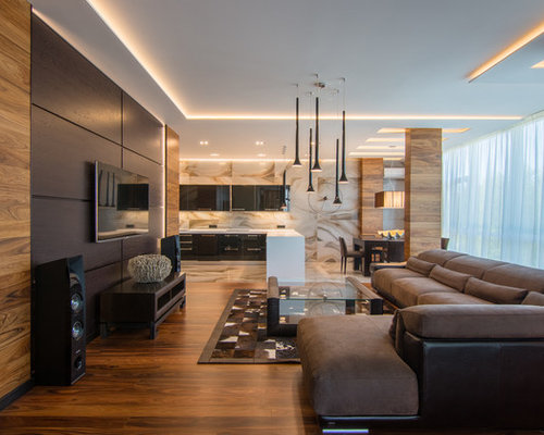 Best Contemporary Living Room Design Ideas & Remodel Pictures | Houzz  SaveEmail
