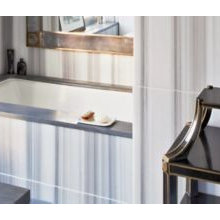 Guest bath area