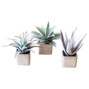Set of 3 Large Artificial Succulents In Square Pots