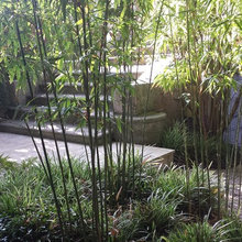 garden ideas