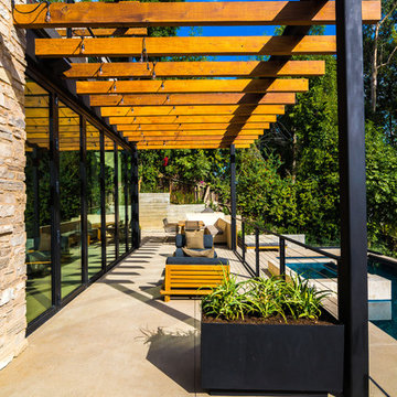 Trellis