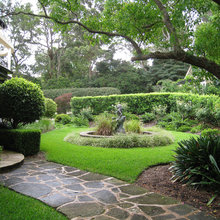 Backyard landscape