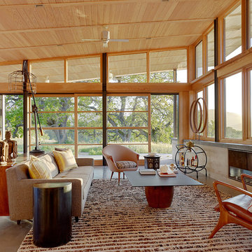 Caterpillar House