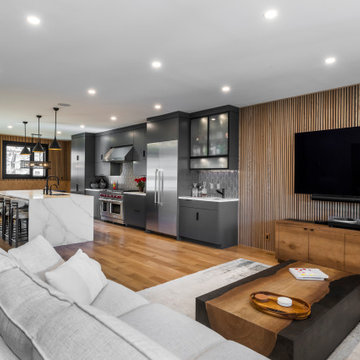 Modern Luxury in Tremont-Whole Home Renovation