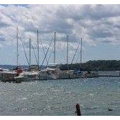 Foto von Sharon Driscoll
