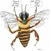 Jessie Lightburn's photo