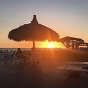 Terri Bowman's photo