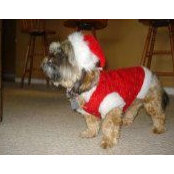 Cindy Mailing's photo