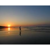 Will Janssen's photo