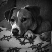 Audrey Ahos foto