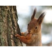 Sara Sullivan's photo