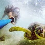 Kristina Funahashi's photo