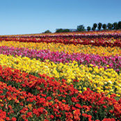 Michelle Rios's photo
