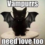 Natascha Moyses's photo