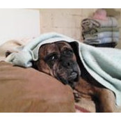 Debbie Smetak's photo