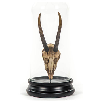 Goat Skull Statue With Cover