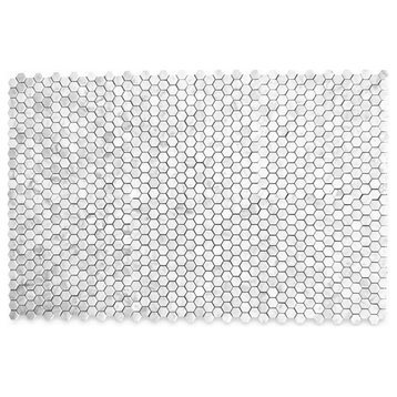 Carrara Marble 1" Hexagon Tile Venato White Carrera Mosaic Honed, 1 sheet