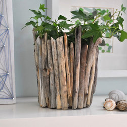 Drift wood Planter - Decorative Bowls