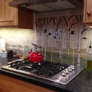 Sustainable Kitchen Remodel