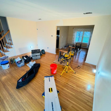 Downstairs Renovation - Succasunna