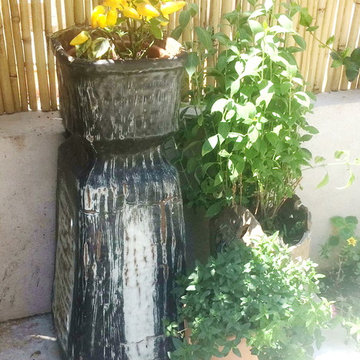houses and gardens in Israel