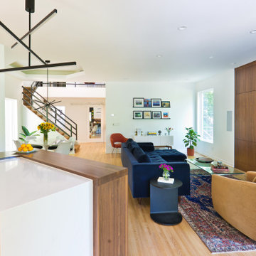 Excelsior Modern Remodel